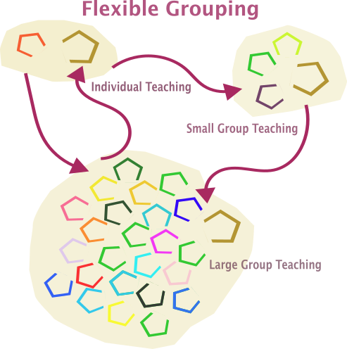 Representation of flexible grouping, from whole class to small group and individual teaching.